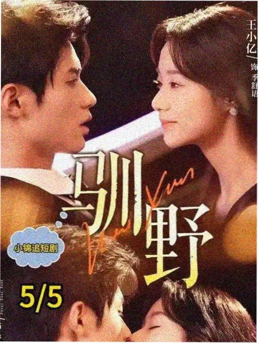 雾港来信剧集海报